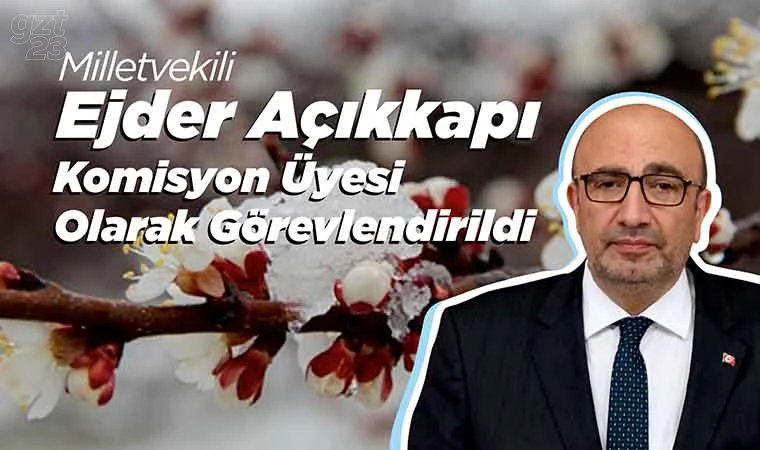 Zirai Don Felaketi TBMM gündeminde