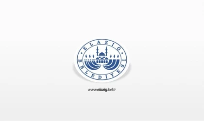 Elazığ Belediyesi Ahşap Oymacılığı Yeni Dönem Kurs Kayıtları Başlıyor