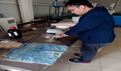 Elazığ’da tatlı su kefali proje çalışmaları sürüyor