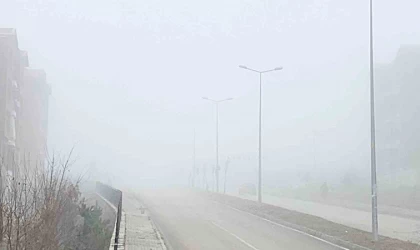 Elazığ sise teslim