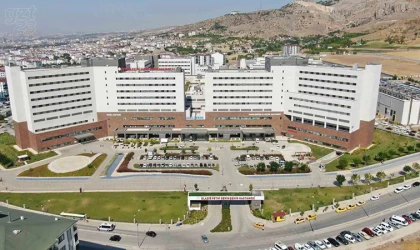 Şehir nüfusunun 3 katı hasta kabul etti