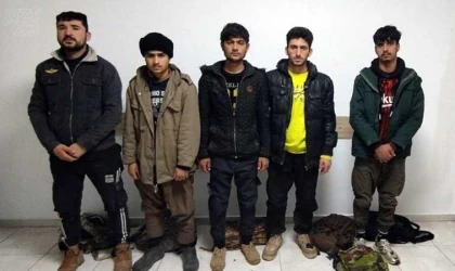 Elazığ’da düzensiz göçmenler yakalandı
