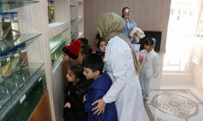 Elazığ’da öğrenciler Balık Müzesini gezdi