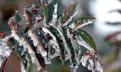 Meteorolojiden zirai don uyarısı