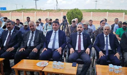 Trabzon hurması fidan dağıtımı yapıldı