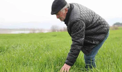 Yağışlar çiftçilerin yüzünü güldürdü
