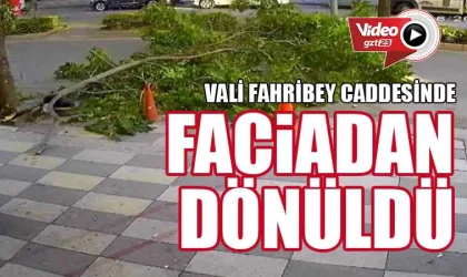 Ağaç yola devrildi, faciadan dönüldü