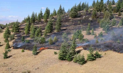 Elazığ’da ormanlık alanda yangın