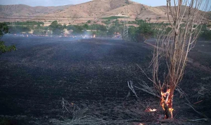 Elazığ’da yangın: 20 dönüm alan kül oldu