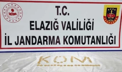 Elazığ’da 70 adet sikke ele geçirildi