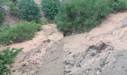 Elazığ’da sağanak yağış etkili oldu