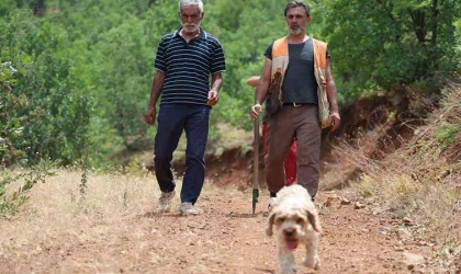 Şehir şehir gezerek ‘kara elmas’ arıyor