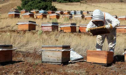 Elazığ Arı Yetiştiricileri Birliği, birinci derecede tarımsal örgüt unvanını kazandı