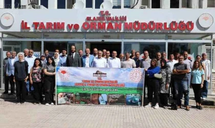 Elazığ’da arıcılık kursları başladı