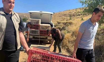 Bu alanlarda 3 yıl avcılık yasaklandı