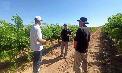 Üreticilere entegre mücadele anlatıldı