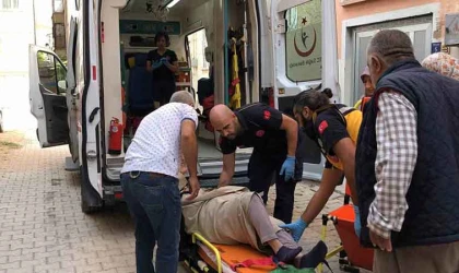 Elazığ'da aracın çaptığı kadın yaralandı