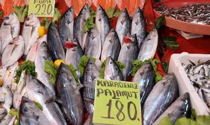 Palamut balığının tam mevsimi