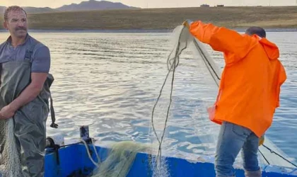 Van-akustik 2024 araştırma seferi başarıyla tamamlandı