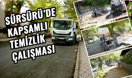 Sürsürü’de temizlik seferberliği