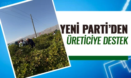 Yeni Parti üzüm üreticilerini dinledi